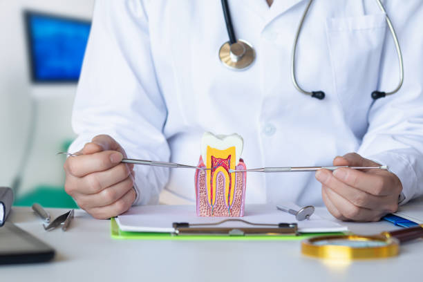 Best Dentist for Tooth Abscess  in Towanda, PA